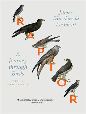 cover image of Raptor